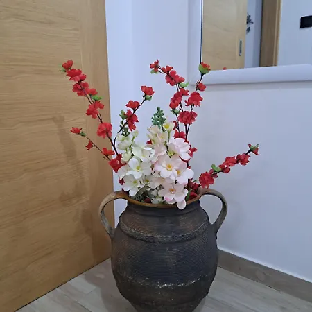 Lägenhet Apartman Bosiljka *