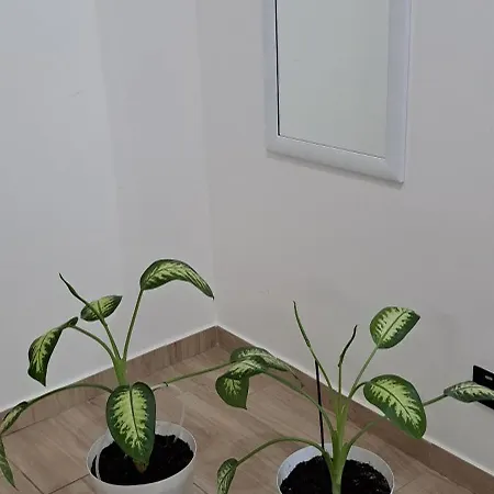 Apartman Bosiljka * Subotica