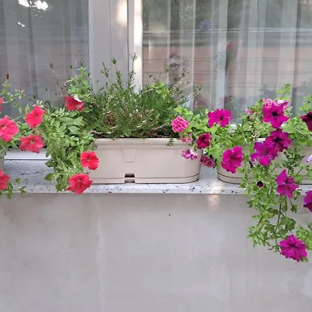 Apartman Bosiljka Subotica