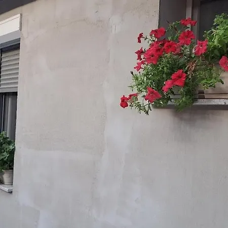 Apartman Bosiljka Lägenhet Subotica